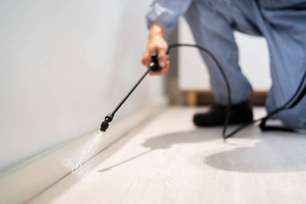 Licensed Fumigation Services service in Bolivar County County, MS - Nex Pest Control